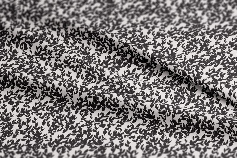 Lorraine Leaves Neutral